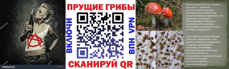 Галлюциногенные грибы Psilocybine cubensis  Гороховец 